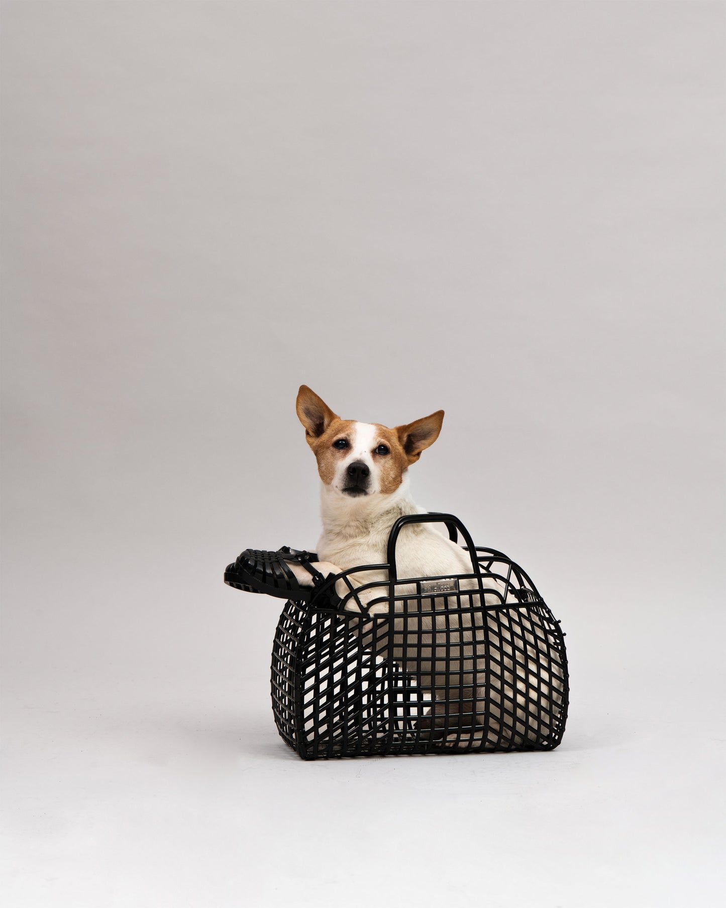 Light Gray סנדלים בסגנון שקפקפים לתינוקות MELISSA