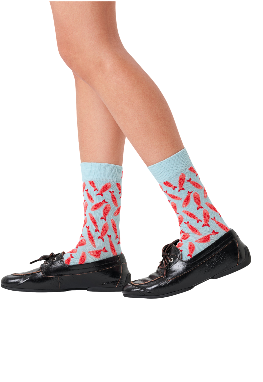 זוג גרביים לגברים Sardine Socks