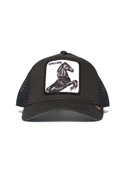 Dark Slate Gray כובע מצחיה The Stallion GOORIN