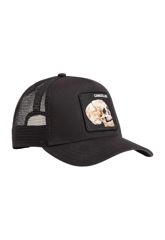 White Smoke כובע מצחייה Bold Suede Skull GOORIN BROS
