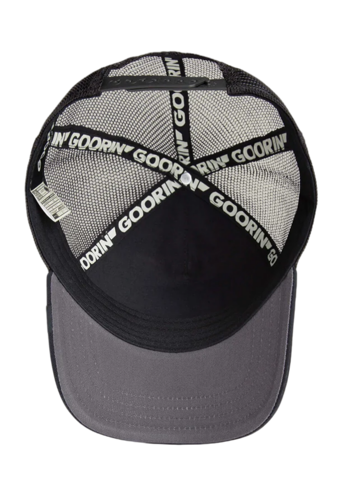 White Smoke כובע מצחייה Bold Suede Skull GOORIN BROS