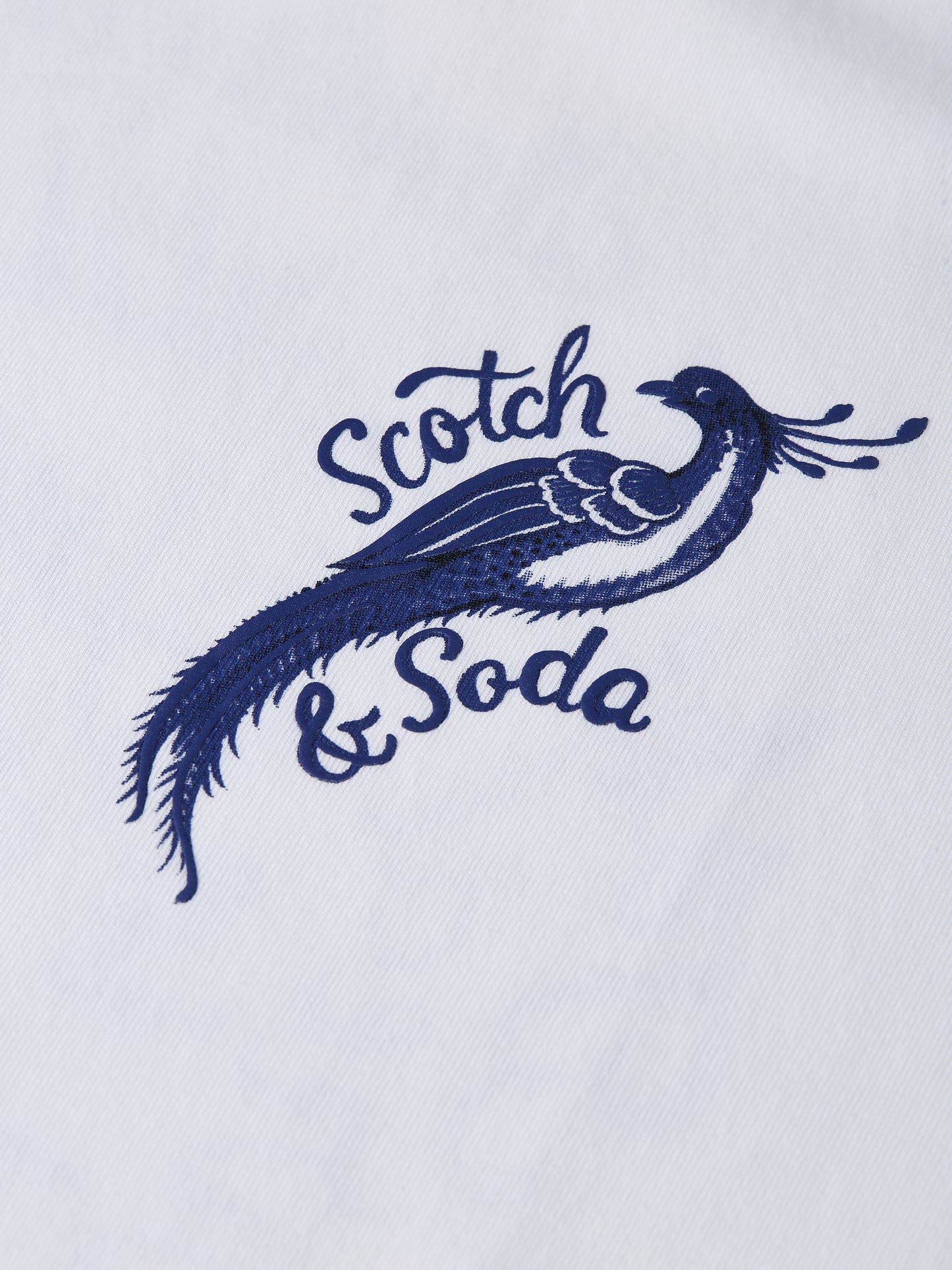 Light Gray טי שירט קצרה לגברים Delfts Blauw SCOTCH & SODA