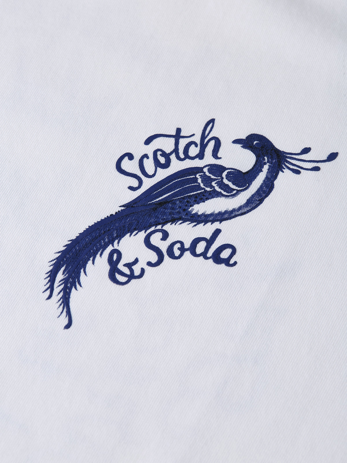 Light Gray טי שירט קצרה לגברים Delfts Blauw SCOTCH & SODA