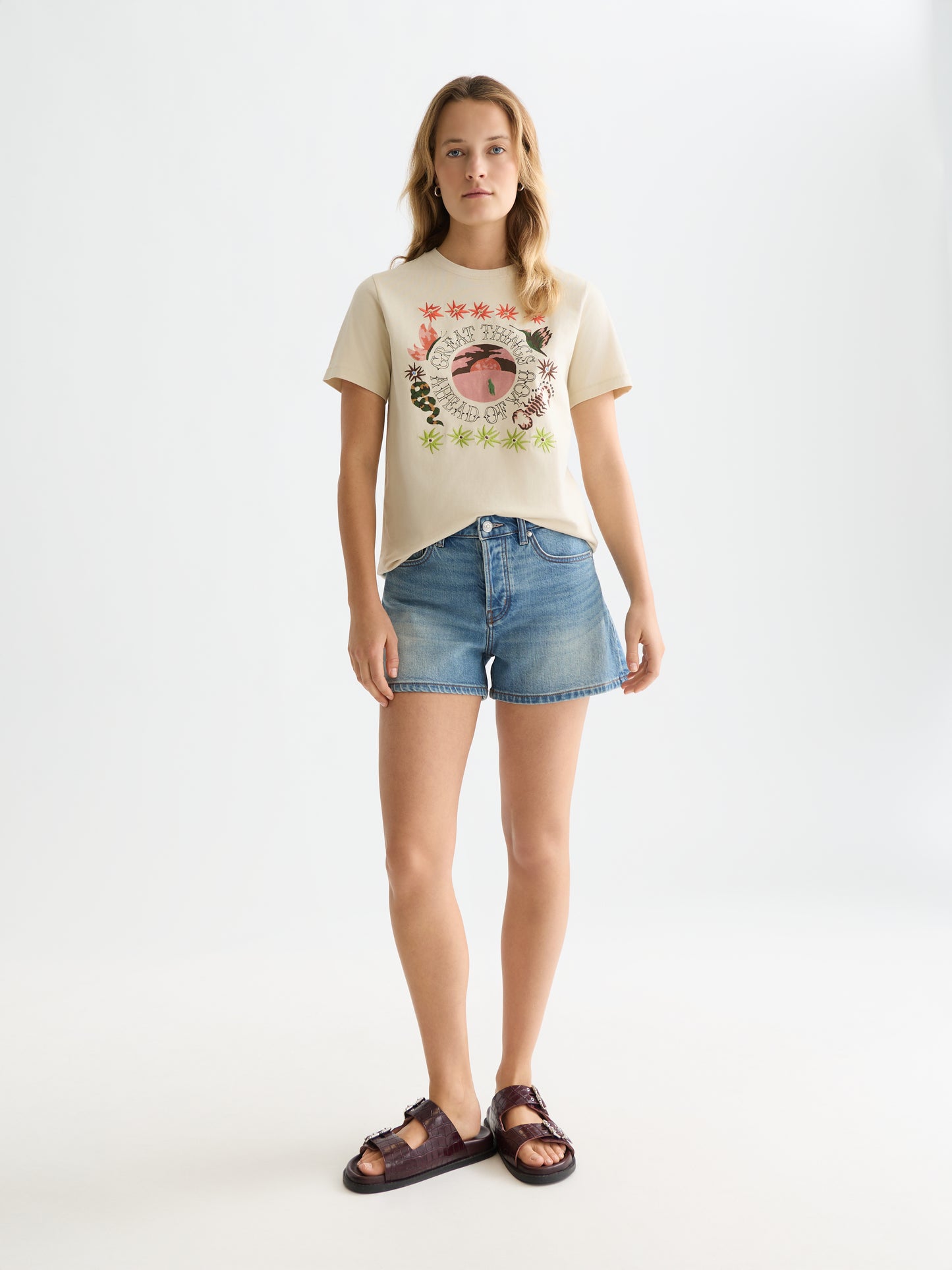 White Smoke EMBROIDERED ARTWORK REGULAR-FIT T-SHIRT טי שירט קצרה SCOTCH & SODA