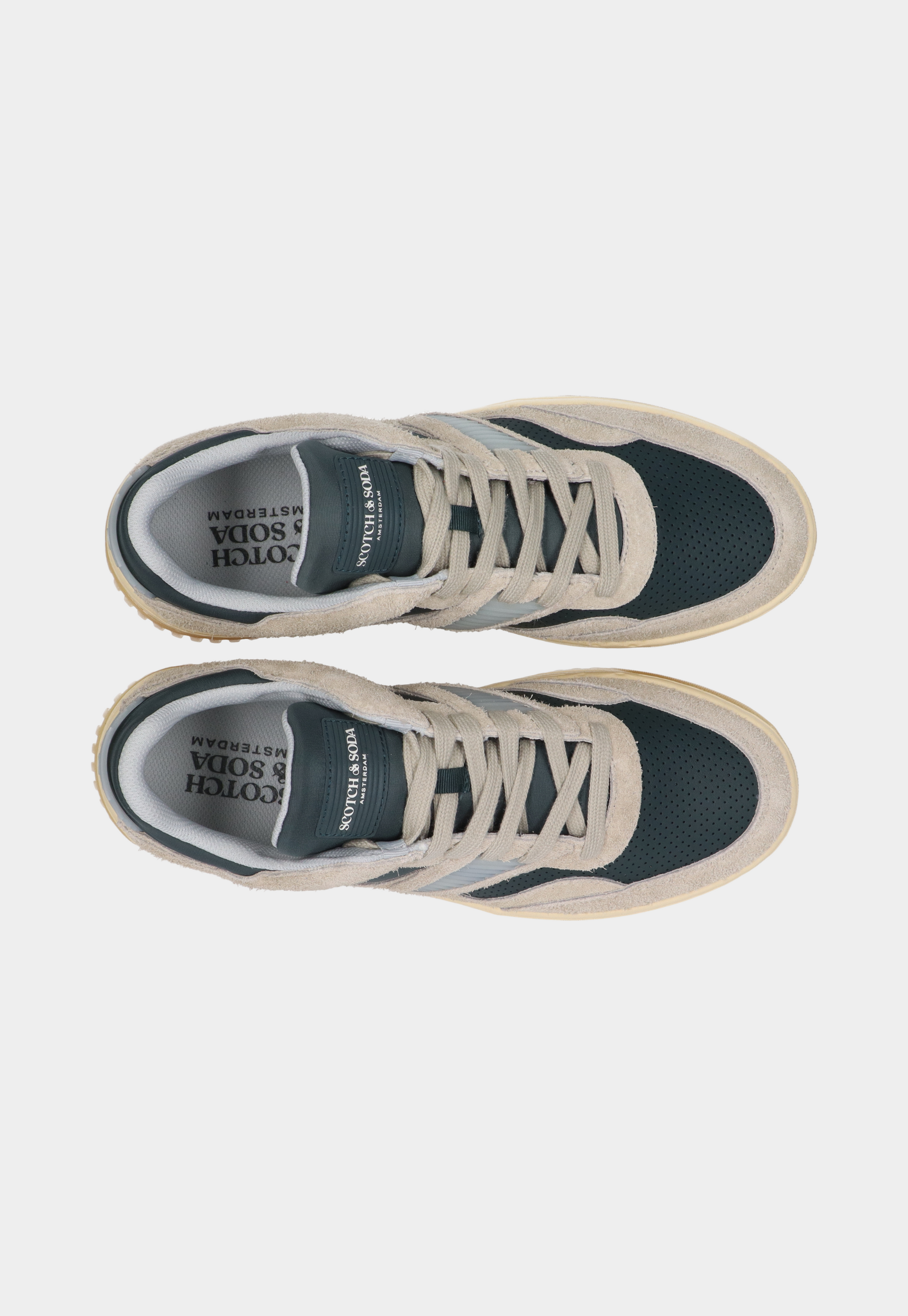 Lavender סניקרס לגברים New Cup SCOTCH & SODA