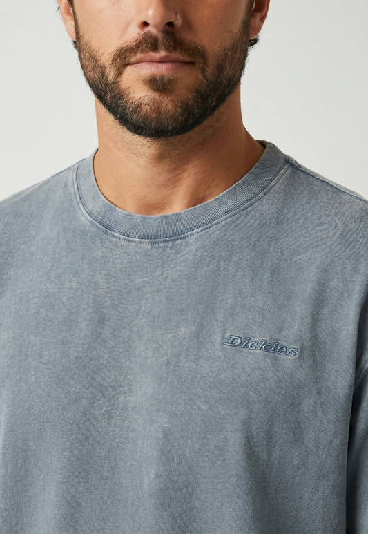 Light Slate Gray טי שירט קצרה לגברים Plentywood DICKIES