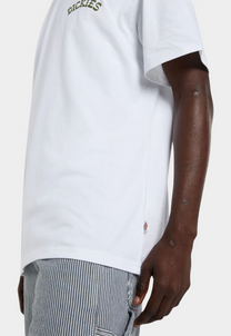 Lavender טי שירט קצרה לגברים Bettsville DICKIES