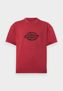 Brown טי שירט קצרה לגברים Plainville DICKIES