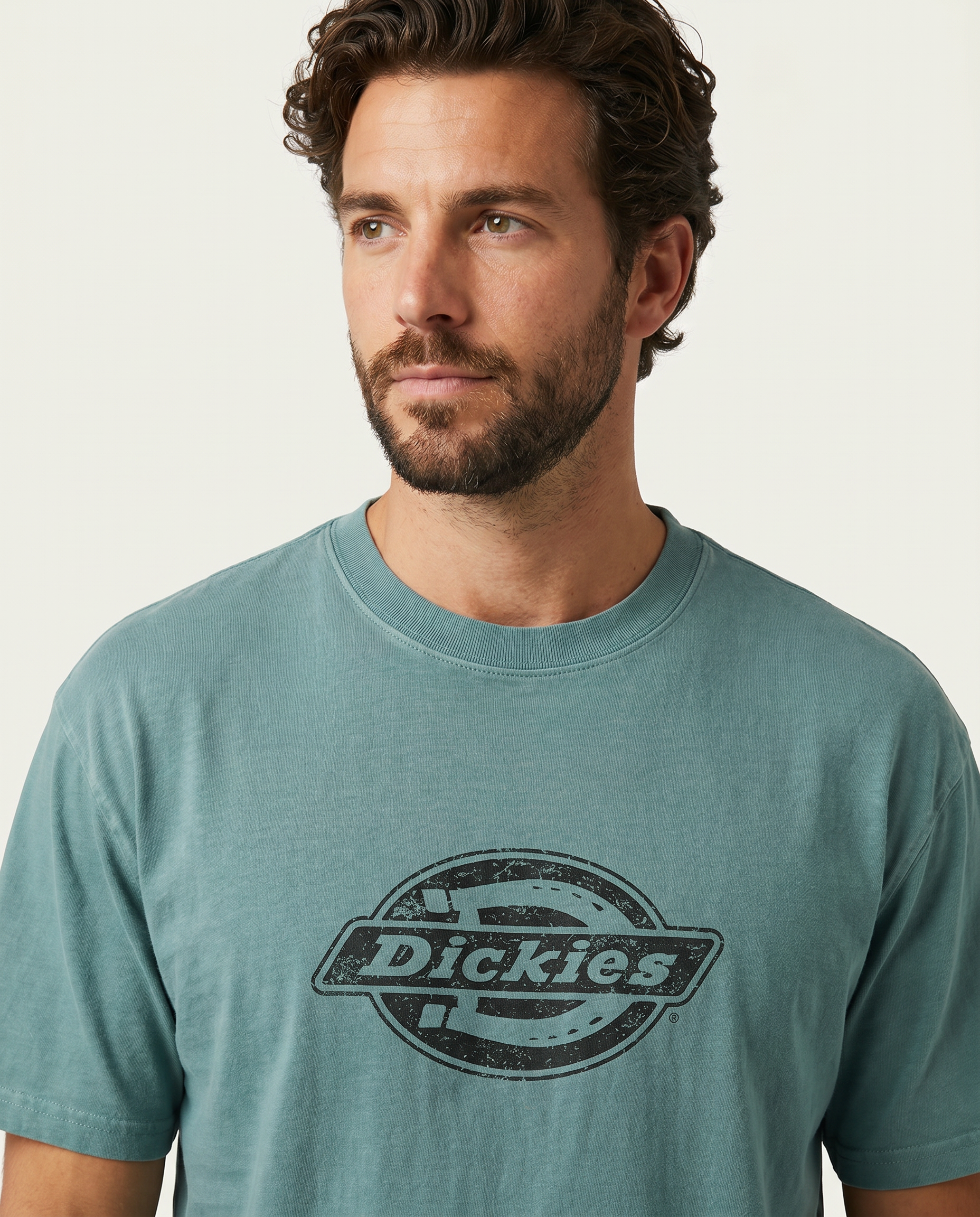 Lavender טי שירט קצרה לגברים Plainville DICKIES