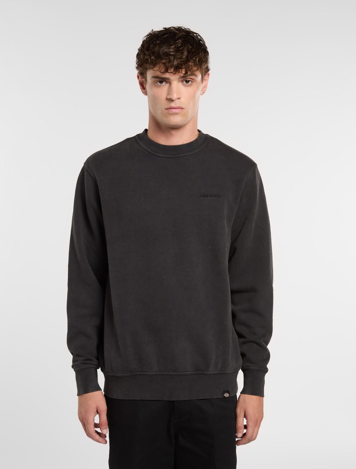 Lavender סווטשירט לגברים Plentywood DICKIES