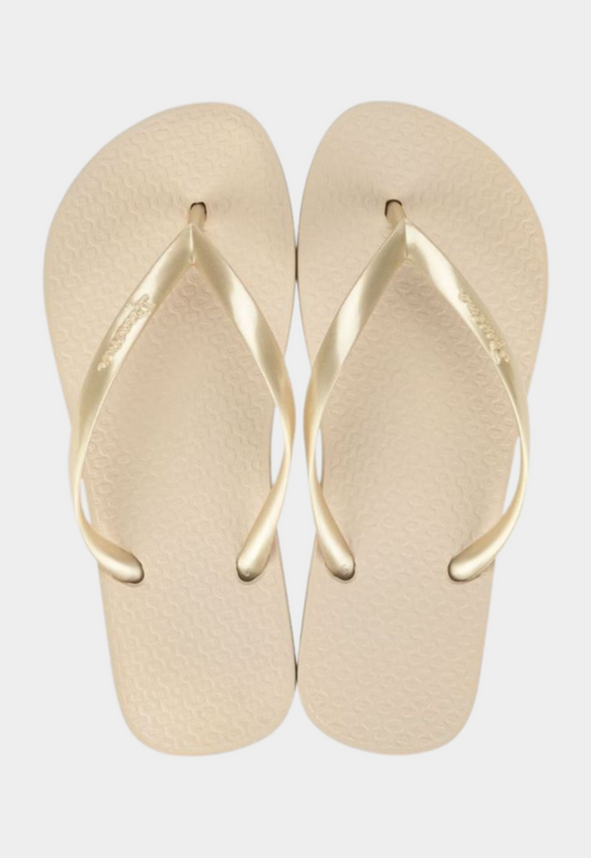 Gray כפכפים לנשים Classica Fine Fem IPANEMA