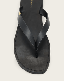 Beige כפכפים לנשים Sydney ALLSAINTS