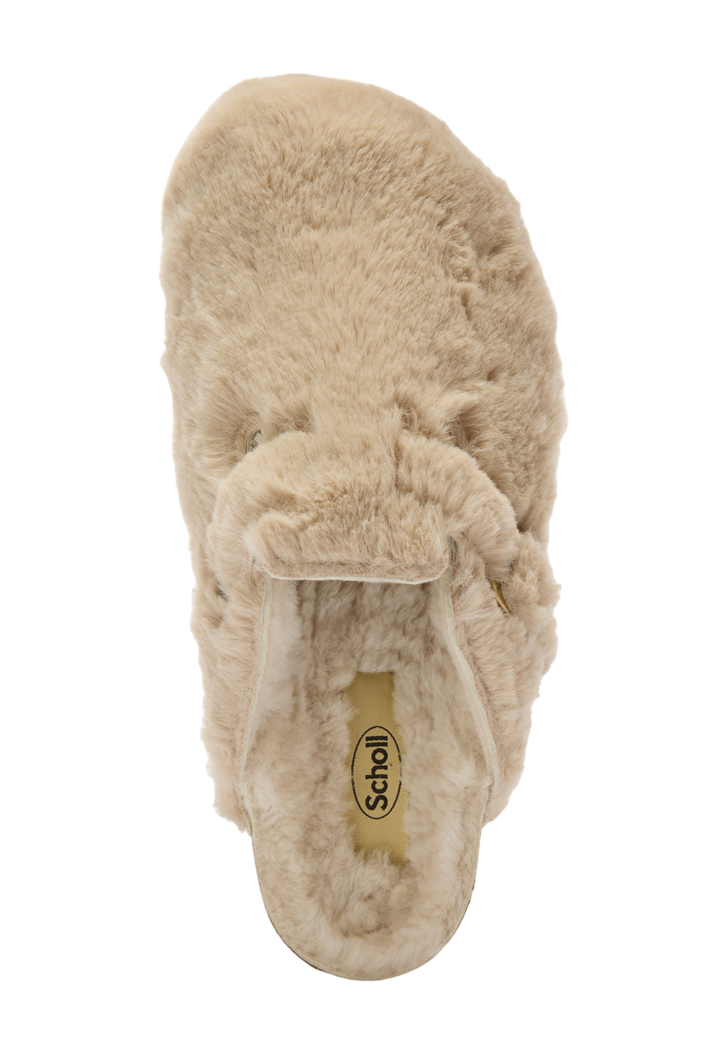 Tan כפכפי קלוג פרוותיות לנשים Fae SCHOLL