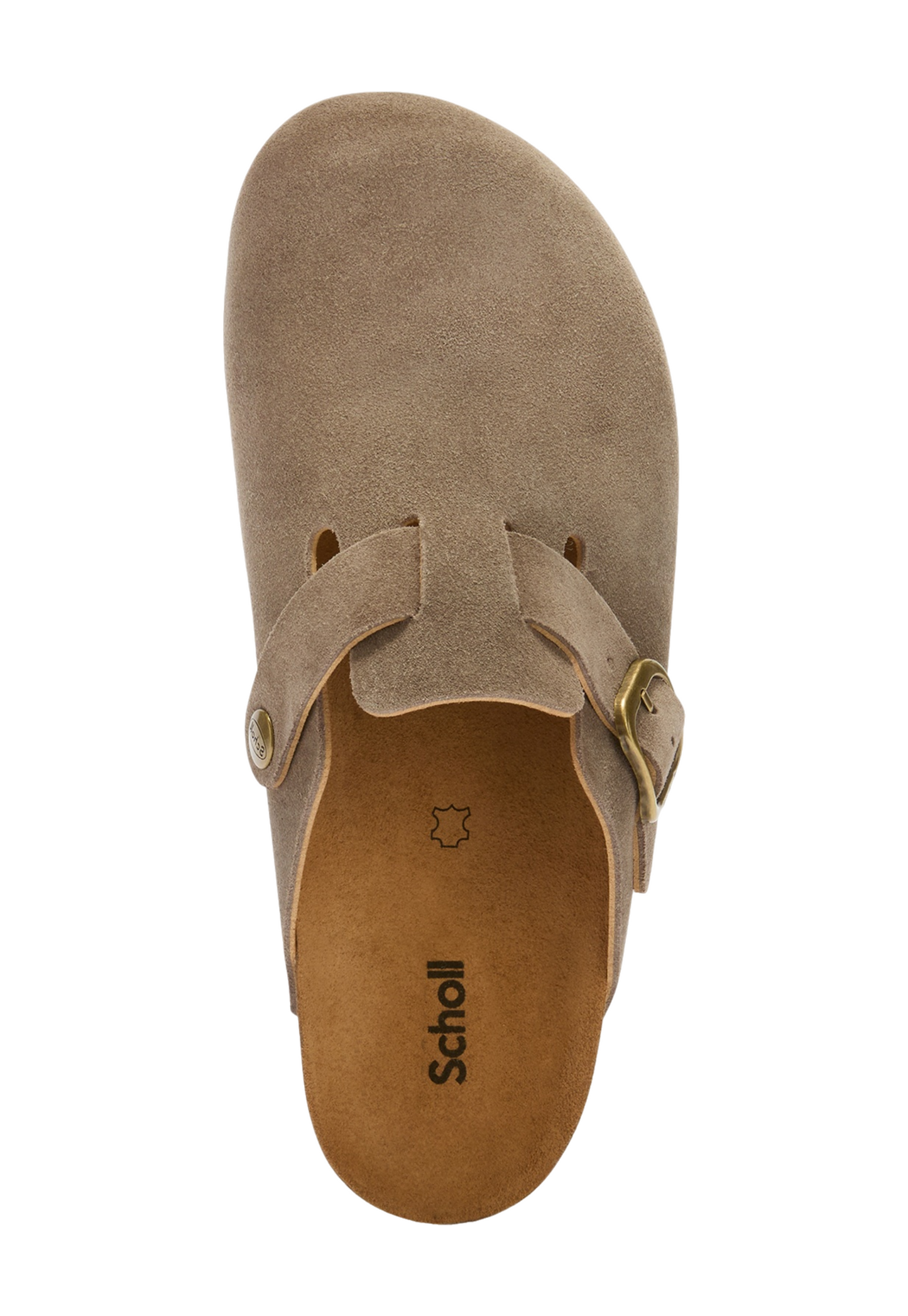 Dim Gray כפכפי מיול זמש לנשים Fae SCHOLL