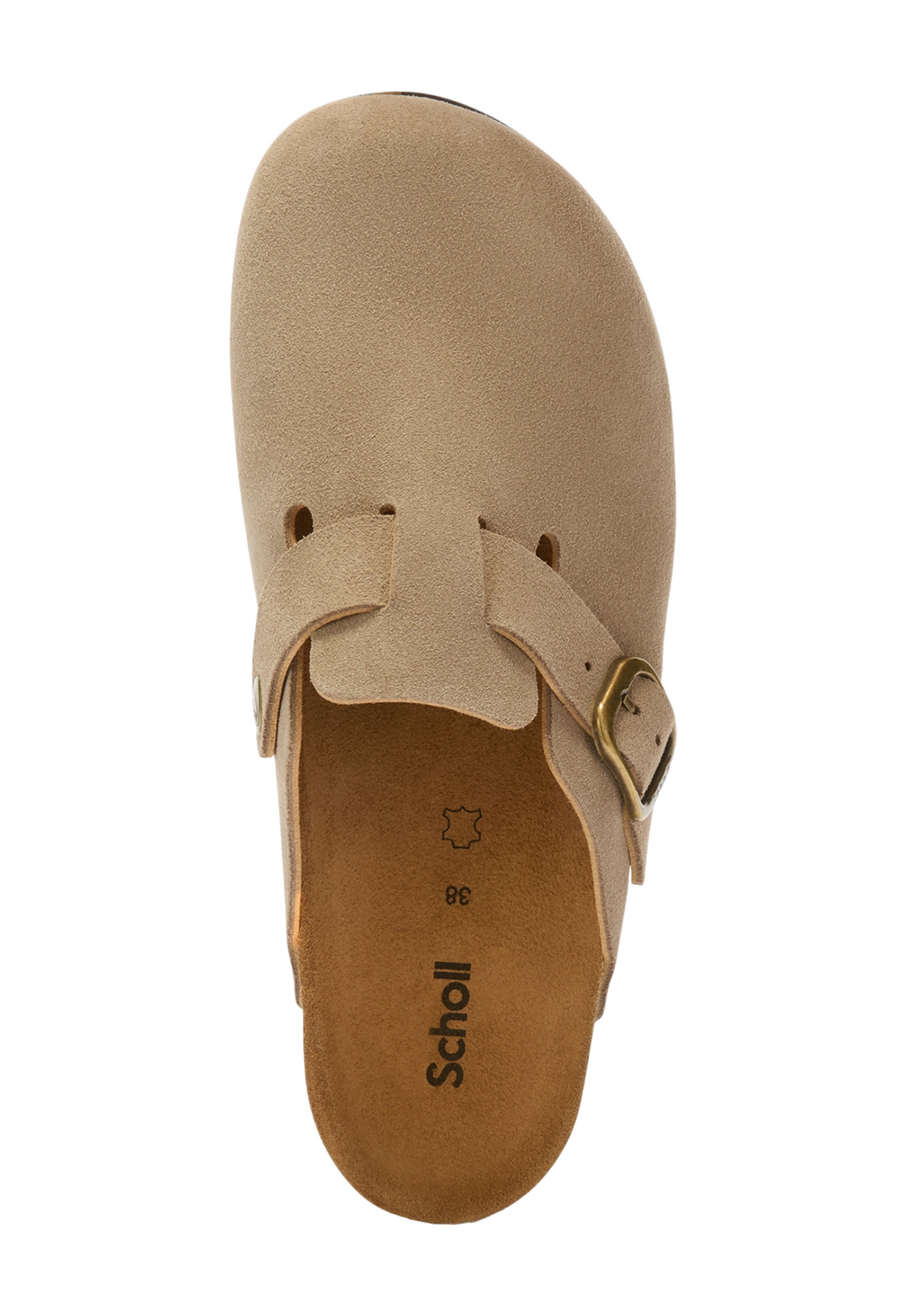 Dim Gray כפכפי מיול זמש לנשים Fae SCHOLL