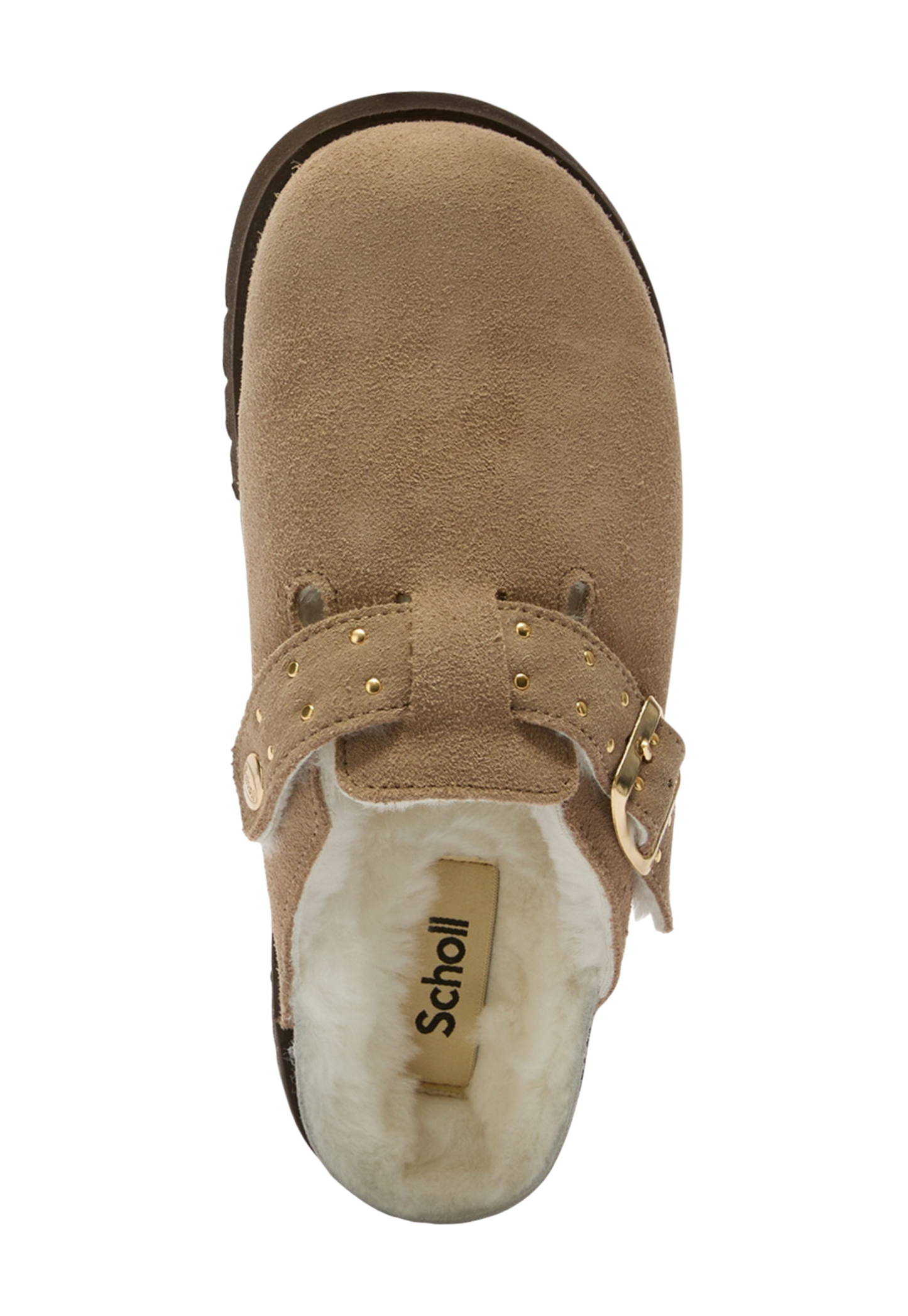 Dim Gray כפכפי מיול זמש פרוותיות לנשים Benny SCHOLL