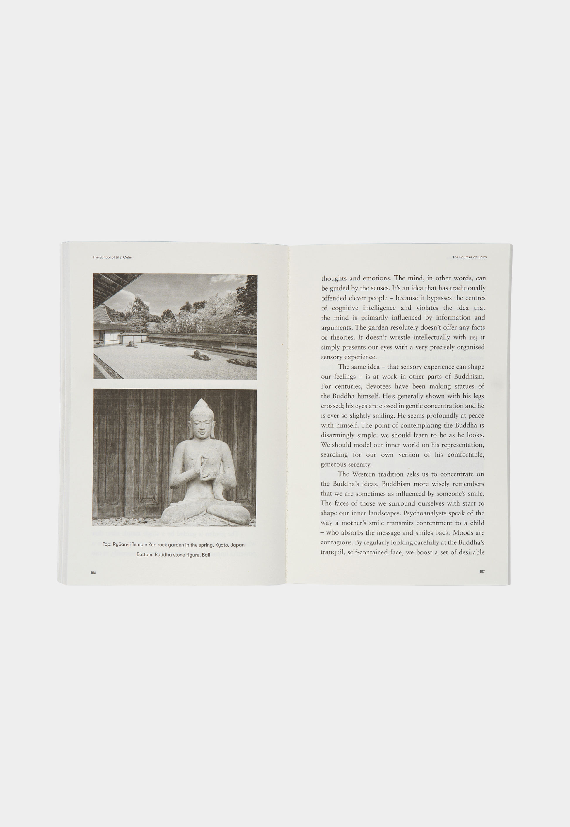 Lavender ספר Calm THE SCHOOL OF LIFE