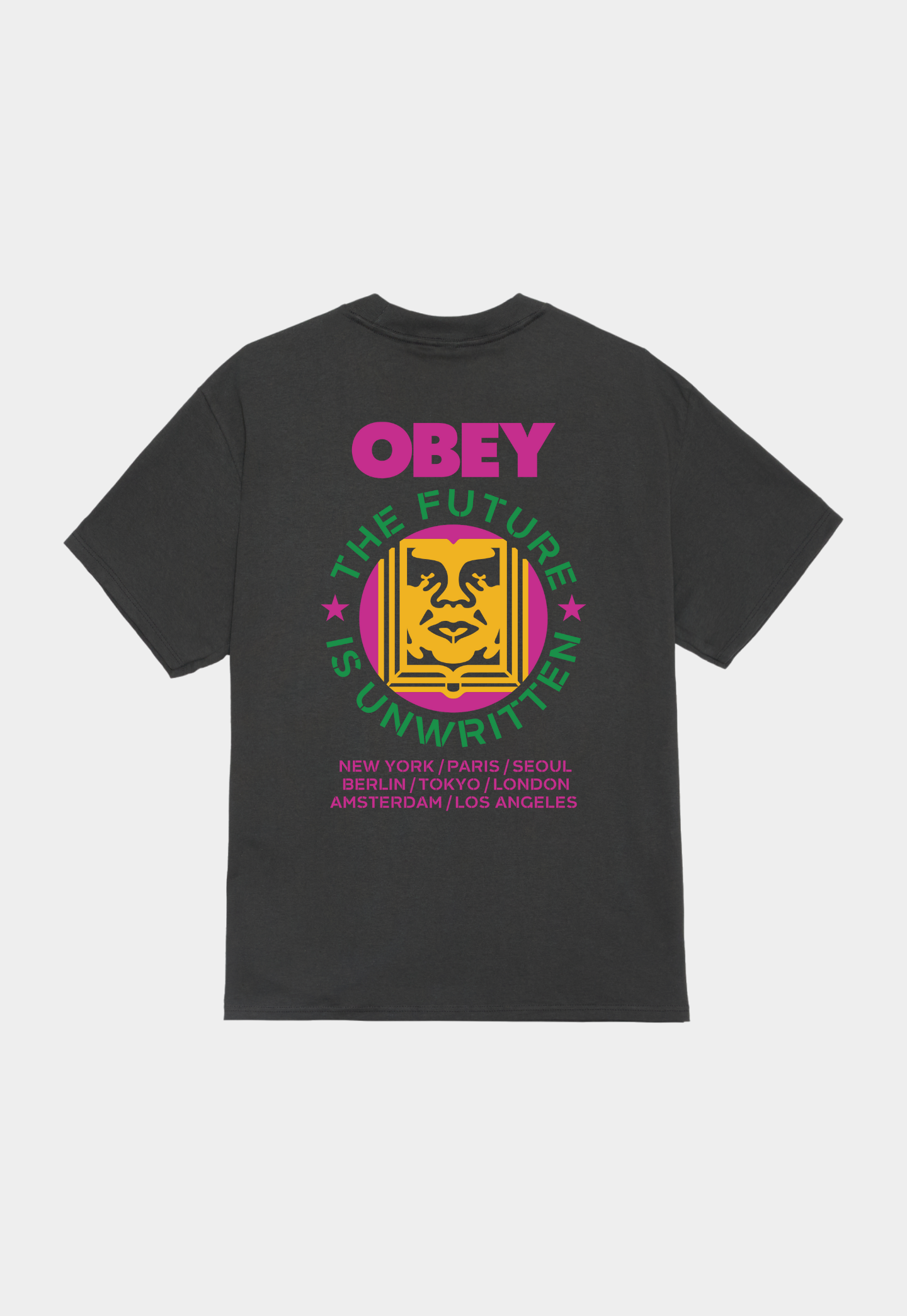 Dark Slate Gray טי שירט לגברים Future Unwritten OBEY