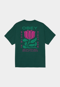 Dark Slate Gray טי שירט לגברים Obey In Bloom OBEY