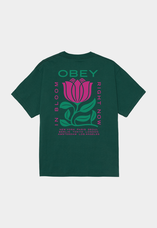 Dark Slate Gray טי שירט לגברים Obey In Bloom OBEY