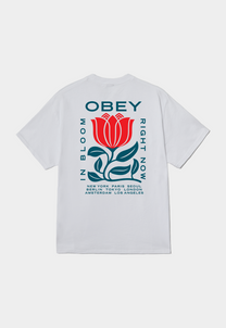Light Gray טי שירט לגברים Obey In Bloom OBEY
