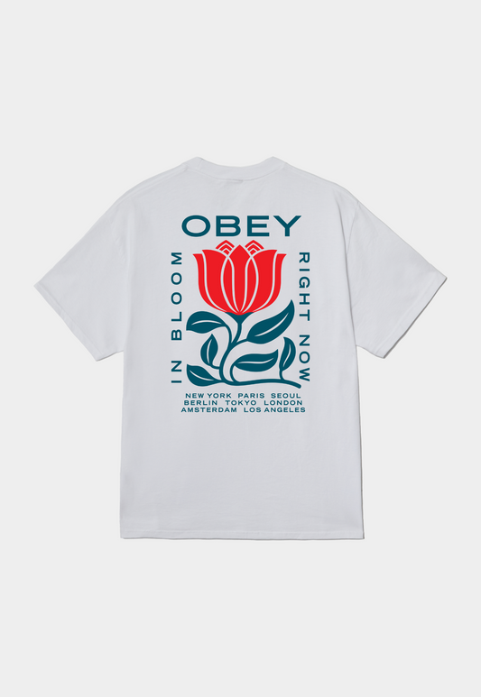 Light Gray טי שירט לגברים Obey In Bloom OBEY