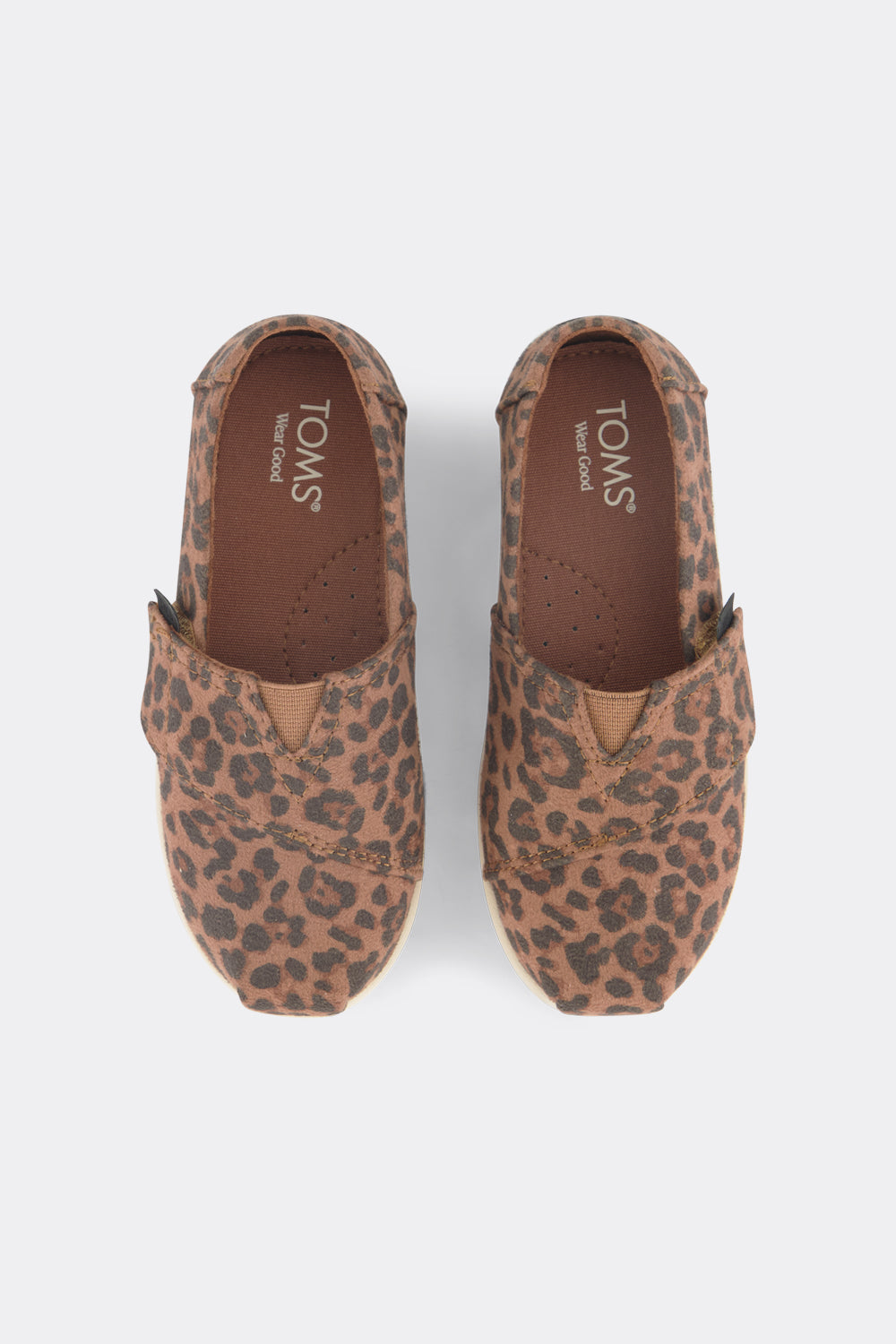 Dim Gray אספדריל לתינוקות Bwn Sgr TOMS