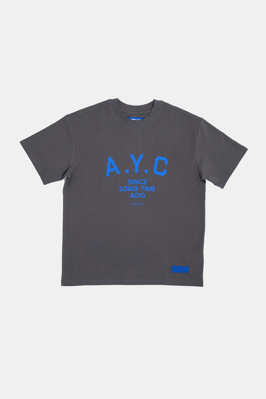 Dim Gray טי שירט קצרה לגברים / נשים A.Y.C. (Am Yisrael Chai) BEBER & CO