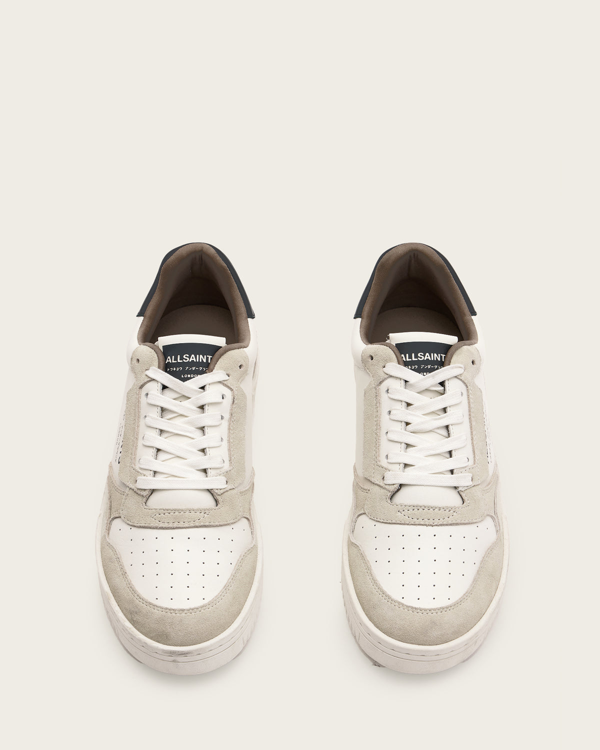 Lavender סניקרס לגברים Regan Low Top ALLSAINTS