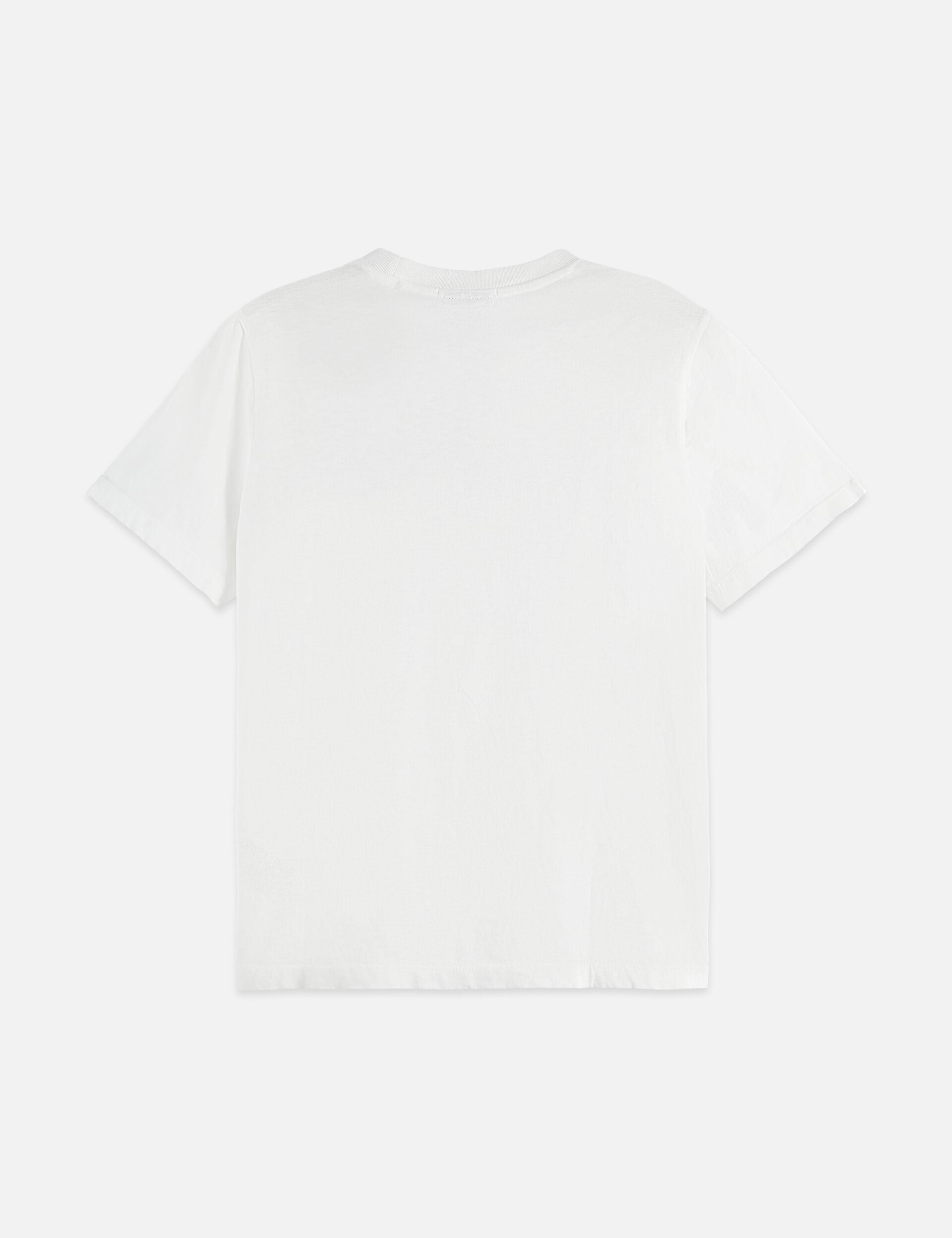 Lavender טי שירט קצרה לנשים Graphic SCOTCH & SODA