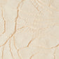 Light Gray גופיה לנשים Embossed Pleat SCOTCH & SODA