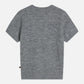 Dim Gray סוודר לנשים Embroidered Short-Sleeved SCOTCH & SODA