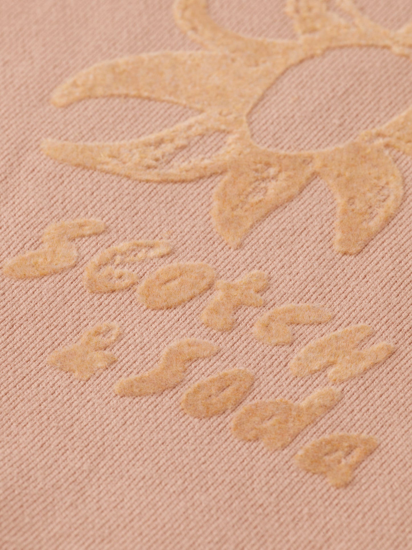 Tan סווטשירט לנשים Flock Print SCOTCH & SODA