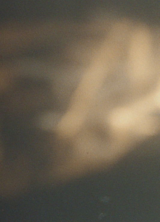 מוקסינים לגברים Steven