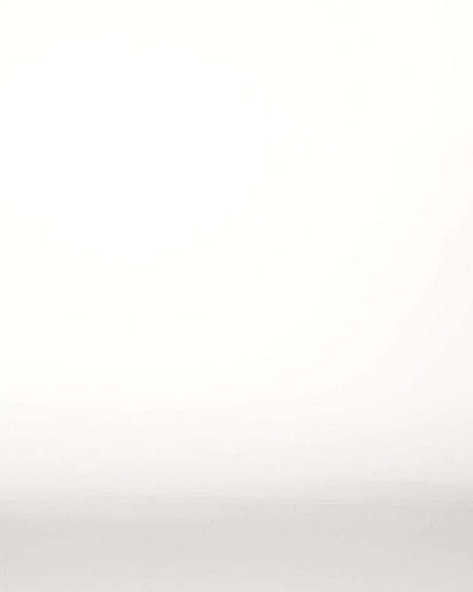 ג'ינס קצר לגברים Bigwig Baggy