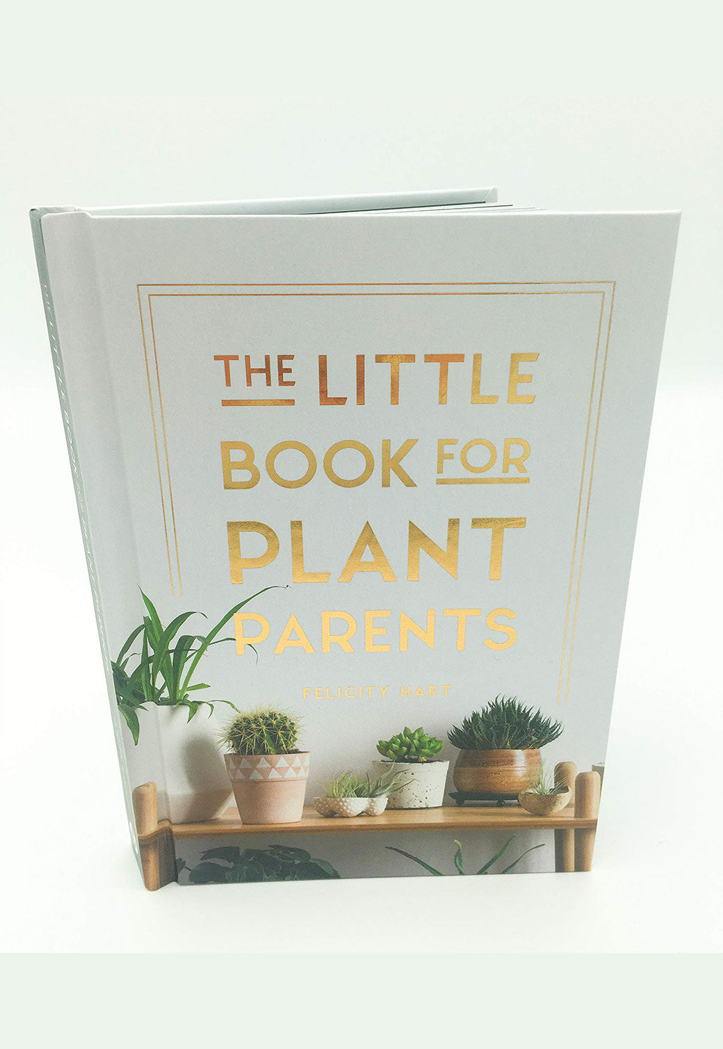 Light Gray ספר LITTLE BOOK OF PLANT PARENTS SHALOSH BOOKS