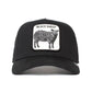Dark Slate Gray כובע מצחיה The Black Sheep GOORIN