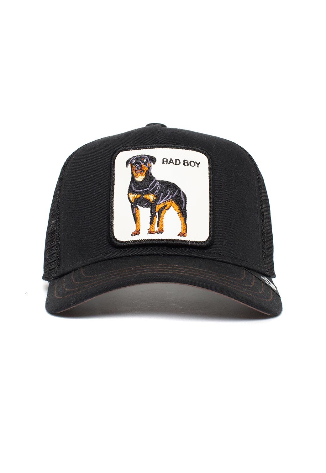 Dark Slate Gray כובע מצחיה לילדים Naughty Pup GOORIN
